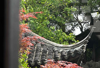 艺圃第 53 张图片