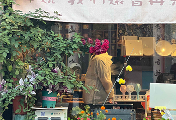 西递第 202 张图片