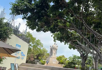 鹿回头风景区第 247 张图片