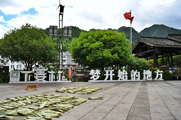 下姜村第 53 张图片