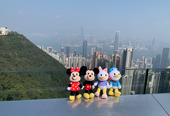 太平山顶第 130 张图片