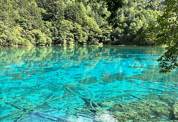 九寨沟风景区第 667 张图片