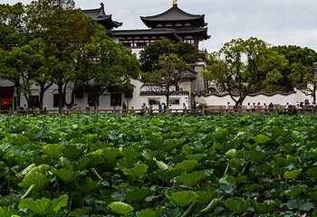 普陀山风景区第 272 张图片