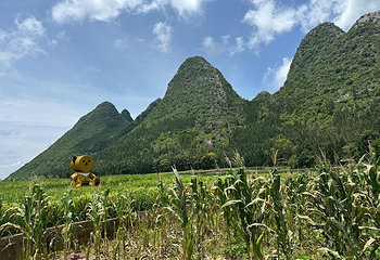 万峰林景区第 54 张图片