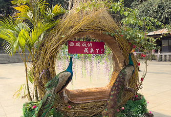 西双版纳勐泐文化旅游区第 102 张图片