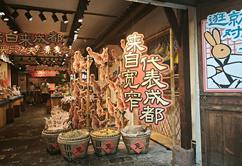 宽窄巷子第 33 张图片