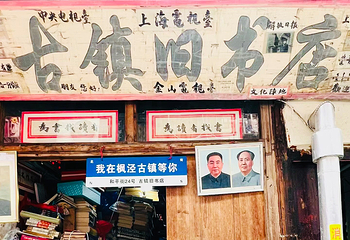 枫泾古镇第 81 张图片