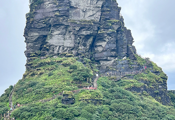 梵净山第 185 张图片