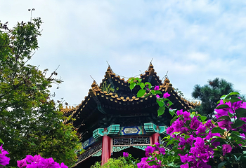 重庆园博园第 66 张图片