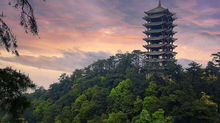 重庆市植物园(缙云路宝塔峰)第 1 张图片