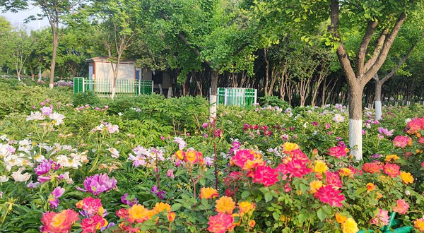 康王河国家湿地公园