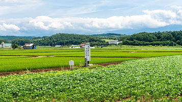 富良野平原開拓発祥之地