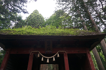 户隐神社第 22 张图片