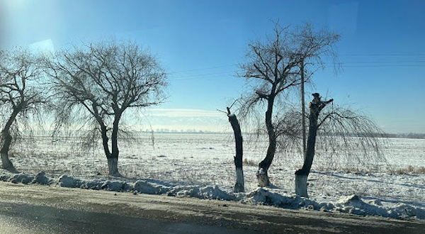 1 Som installation art