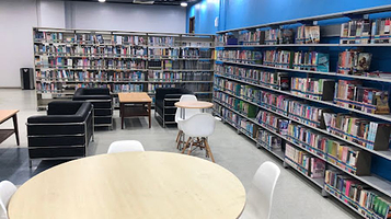 苏丹依斯迈图书馆