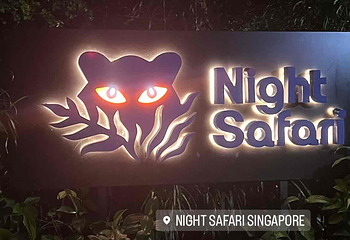 夜间野生动物园第 67 张图片