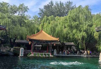 趵突泉景区第 205 张图片