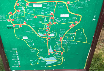 青岛森林野生动物世界第 53 张图片