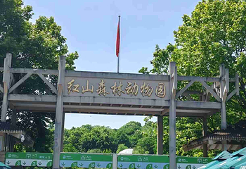 红山森林动物园第 248 张图片