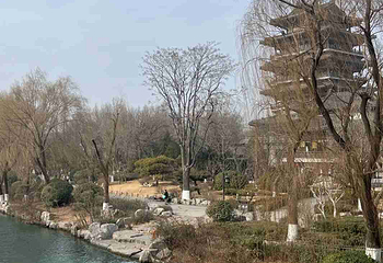 大明湖景区第 73 张图片