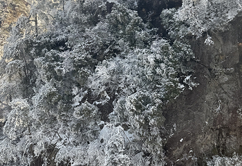 浙江大明山地质公园第 58 张图片