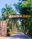 兴隆热带植物园