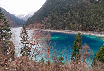 九寨沟风景区第 516 张图片