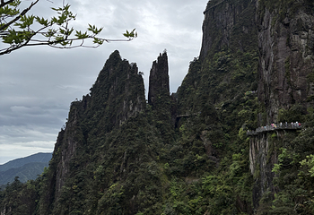莽山五指峰景区第 118 张图片