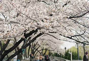 晴川阁第 218 张图片