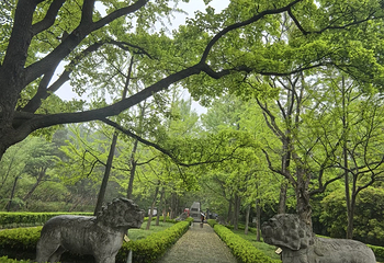 钟山风景名胜区第 138 张图片
