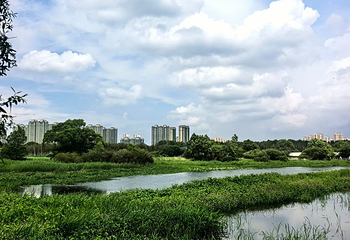 太阳岛风景区第 67 张图片