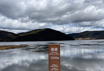 普达措国家公园第 128 张图片