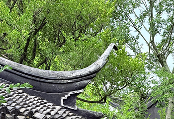 拙政园第 312 张图片