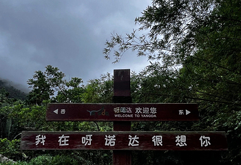 呀诺达热带雨林第 155 张图片