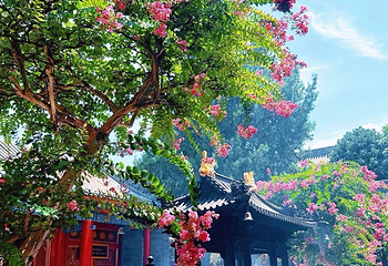 广仁寺第 103 张图片