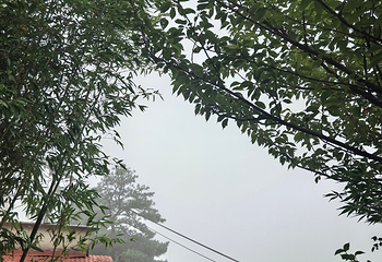 庐山风景名胜区第 375 张图片