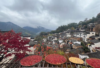 婺源篁岭景区第 169 张图片