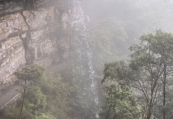 金佛山第 145 张图片