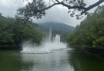 广东罗浮山风景名胜区第 68 张图片