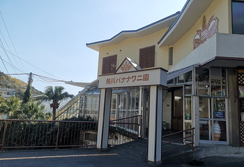 热川香蕉鳄鱼园第 4 张图片