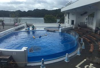 九十九岛水族馆第 8 张图片
