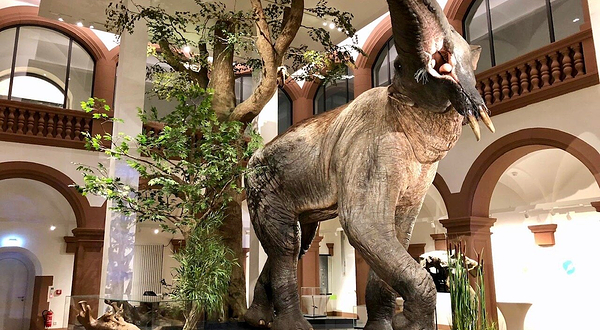 美因茨自然历史博物馆