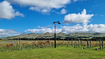 Georges Road Wines
