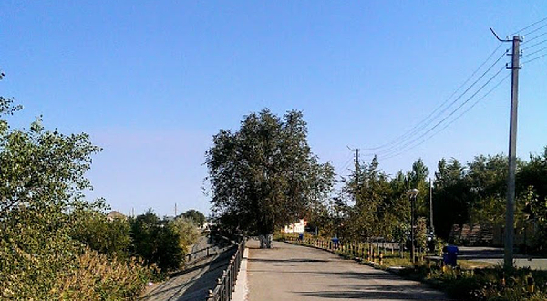 River Rats Private Base Camp