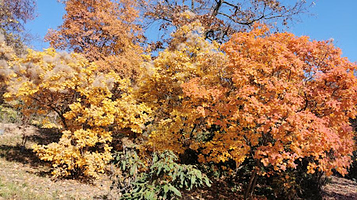 Gellért-hegy Jubileumi park