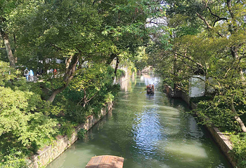 虎丘山风景名胜区第 228 张图片