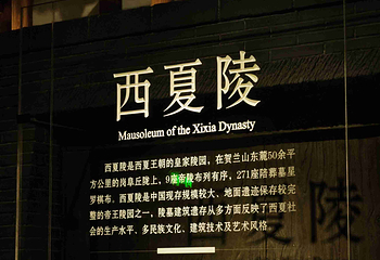 西夏陵第 348 张图片