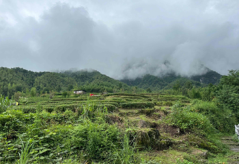宜春明月山旅游区第 84 张图片