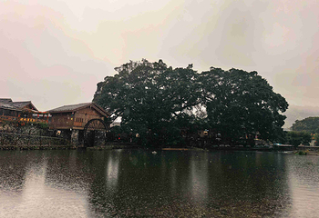 云水谣景区第 100 张图片