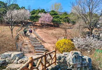 北京西山国家森林公园第 23 张图片